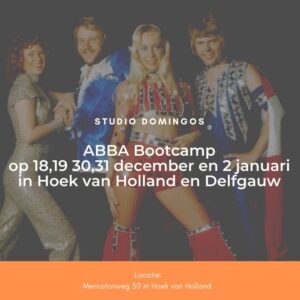 Disco Bootcamp Delfgauw Hoek van Holland